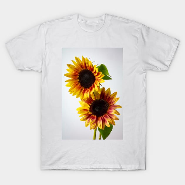 Two Striking Yellow And Orange Sunflowers T-Shirt by photogarry